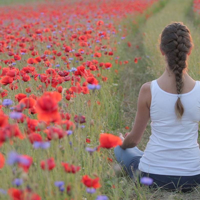 méditation dans les coquelicots