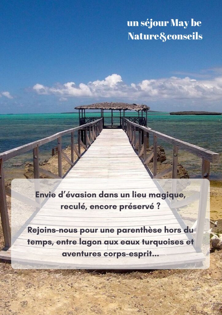 Diego 2 retraite détox et yoga à Madagascar